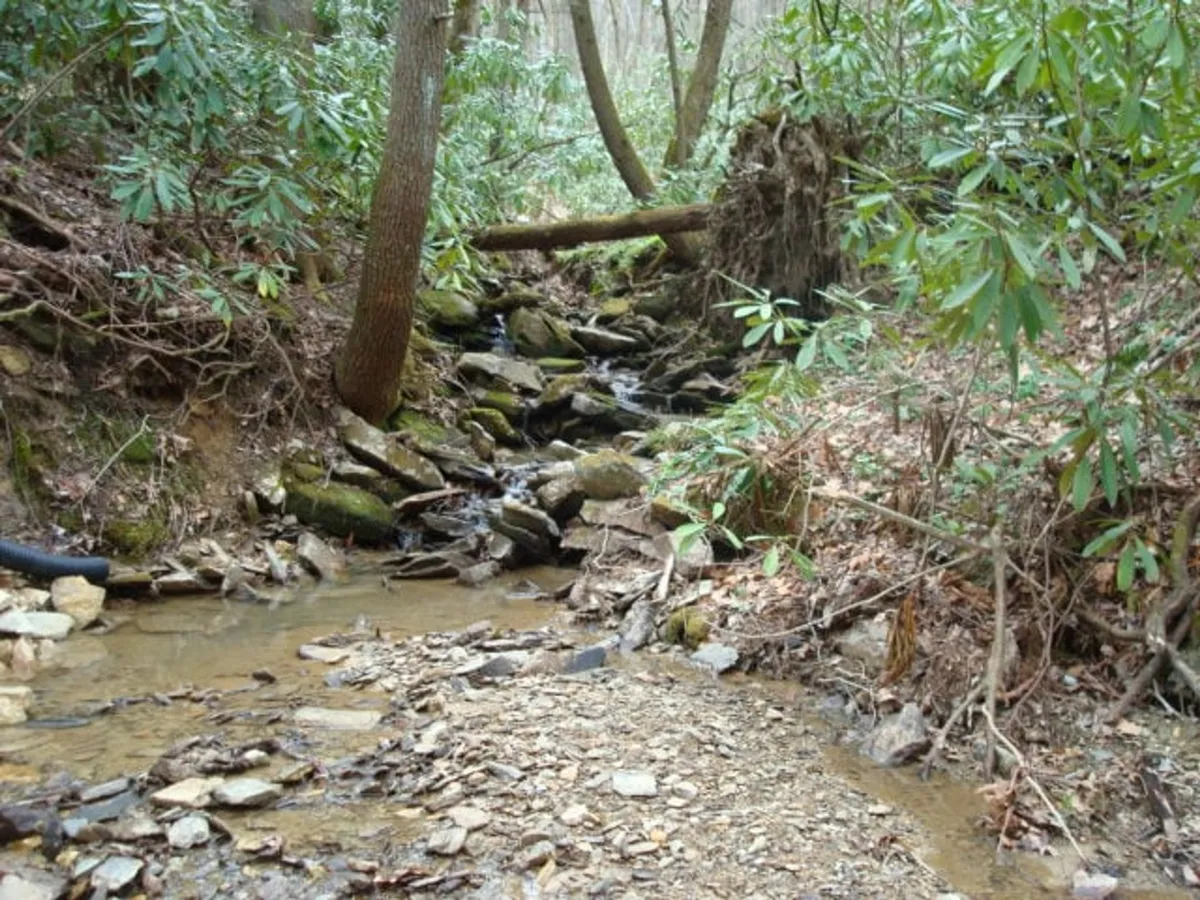A rocky creek bed winds through a lush, green landscape, water gently flowing and surrounded by ferns, underbrush, and mature trees. The peaceful setting captures the tranquility and natural beauty of the property’s creekside grounds.